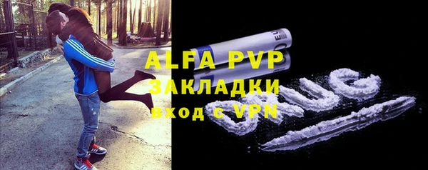 индика Иннополис